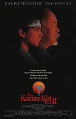 Watch The Karate Kid Part II Sflix