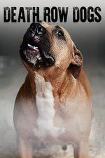 Watch Death Row Dogs Sflix