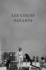 Watch Les chiens savants Sflix