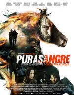 Watch Purasangre Sflix