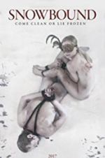 Watch Snowbound Sflix