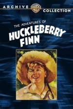 Watch Huckleberry Finn Sflix