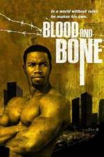 Watch Blood and Bone Sflix