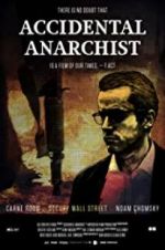 Watch Accidental Anarchist Sflix