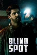 Watch Blind Spot Sflix