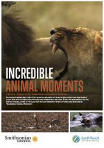 Watch Incredible Animal Moments Sflix