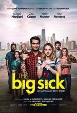 Watch The Big Sick Sflix