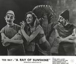 Watch A Ray of Sunshine: An Irresponsible Medley of Song and Dance Sflix