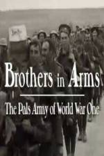 Watch Brothers in Arms: The Pals Army of World War One Sflix