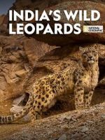 Watch India\'s Wild Leopards (Short 2020) Sflix
