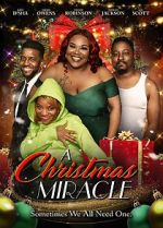 Watch A Christmas Miracle Sflix