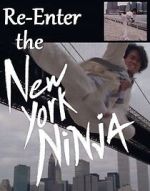 Watch Re-Enter the New York Ninja Sflix