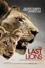 Watch The Last Lions Sflix