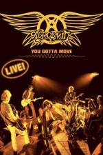 Watch Aerosmith You Gotta Move Sflix