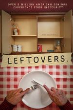 Watch Leftovers Sflix