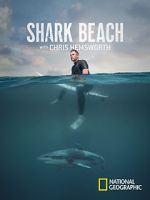Watch Shark Beach with Chris Hemsworth (TV Special 2021) Sflix