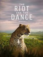 Watch The Riot and the Dance Sflix