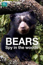 Watch Bears: Spy in the Woods Sflix