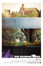 Watch The Learning Tree Sflix