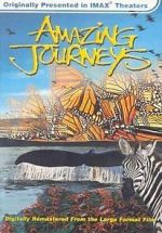Watch Amazing Journeys (Short 1999) Sflix