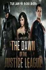 Watch Dawn of the Justice League Sflix