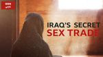Watch Undercover with the Clerics: Iraq\'s Secret Sex Trade Sflix