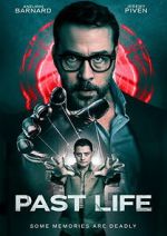 Watch Past Life Sflix