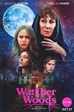 Watch The Watcher in the Woods Sflix