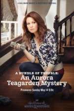 Watch A Bundle of Trouble: An Aurora Teagarden Mystery Sflix
