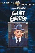 Watch The Last Gangster Sflix