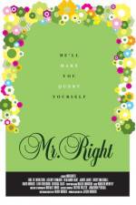 Watch Mr Right Sflix