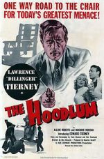 Watch The Hoodlum Sflix