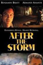 Watch After the Storm Sflix