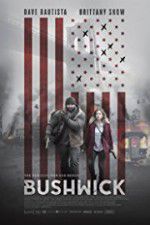 Watch Bushwick Sflix