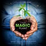 Watch The Magic Plant Sflix