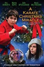 Watch A Karate Christmas Miracle Sflix