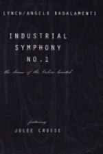 Watch Industrial Symphony No 1 The Dream of the Brokenhearted Sflix