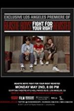 Watch Beastie Boys: Fight for Your Right Revisited Sflix