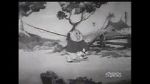 Watch Fish Tales (Short 1936) Sflix