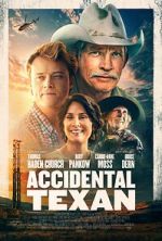 Watch Accidental Texan Sflix
