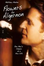 Watch Flowers for Algernon Sflix