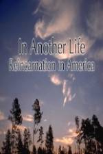 Watch In Another Life Reincarnation in America Sflix