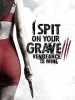 Watch I Spit on Your Grave: Vengeance is Mine Sflix