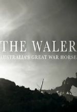 Watch The Waler: Australia\'s Great War Horse Sflix