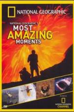 Watch National Geographics Most Amazing Moments Sflix