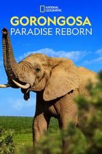Watch Gorongosa: Paradise Reborn (Short 2022) Sflix