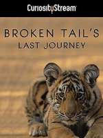 Watch Broken Tail Sflix