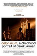 Watch Delphinium: A Childhood Portrait of Derek Jarman Sflix