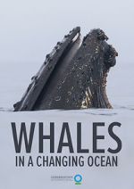Watch Whales in a Changing Ocean (Short 2021) Sflix