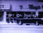 Watch Spy on the Fly (Short 1967) Sflix